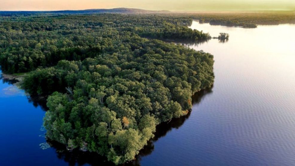 Cuidado del Medio Ambiente: Laudato Si’ en Acción